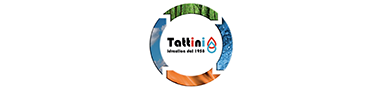 Tattini